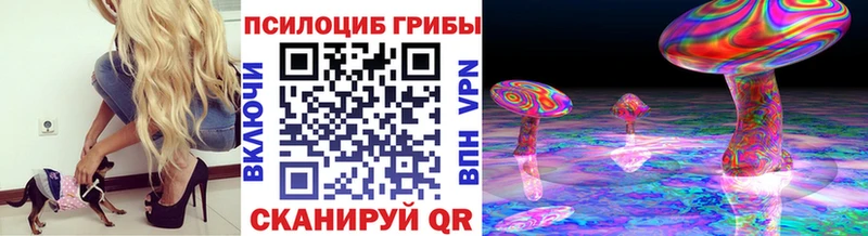купить  цена  Чебоксары  Псилоцибиновые грибы мицелий 