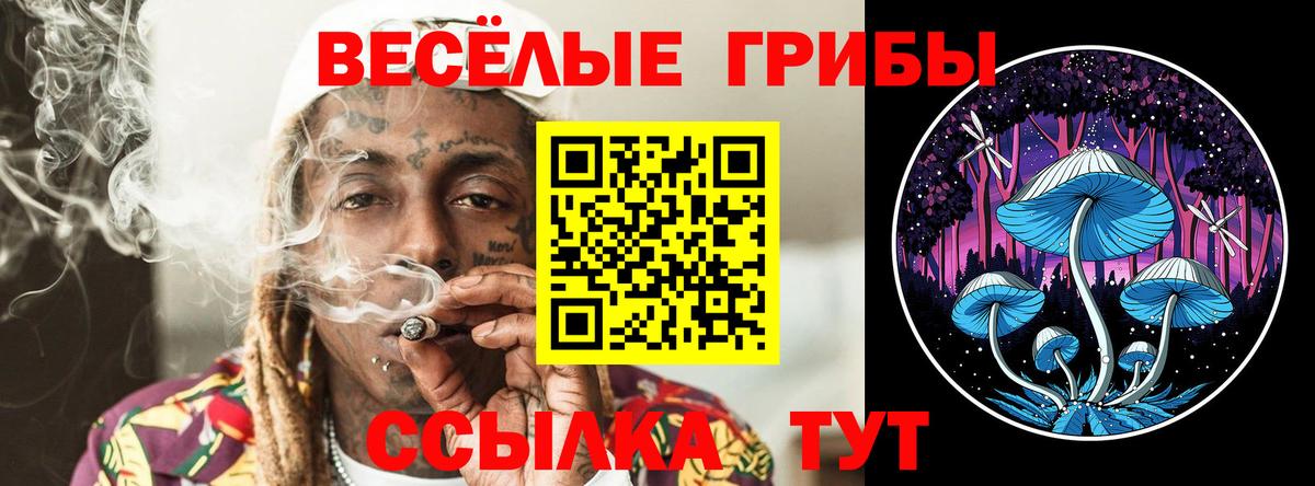 Чебоксары  Галлюциногенные грибы ЛСД  Вход с VPN 